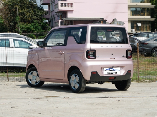 Geely Panda Mini Endurance Ev 200km 4 asientos y con sistema de freno de disco delantero trasero