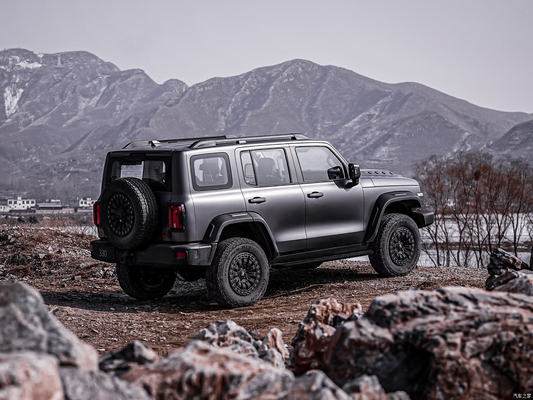 Freno de disco delantero trasero Euro VI Gran Muro TANK300 SUV de combustible para SUV de gran valor